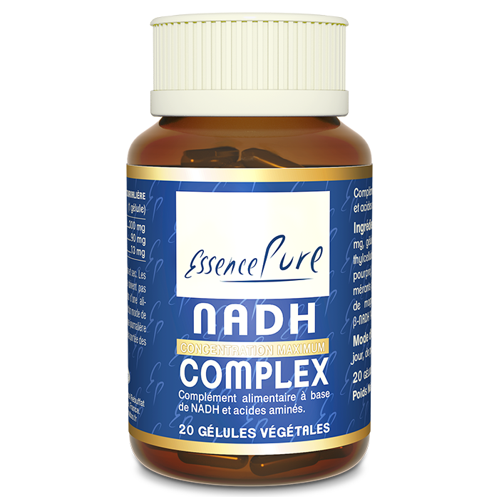 NADH complex